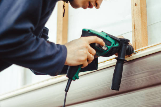 Affordable Siding Repair and Maintenance Services in Jamul, CA